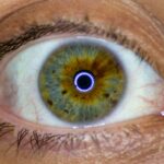 白内障になりやすい人が気になる方へ！一体どのような人が白内障になりやすいかについて解説