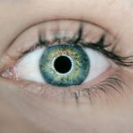 白内障により視界がどのように変化するか！見え方の変化について解説