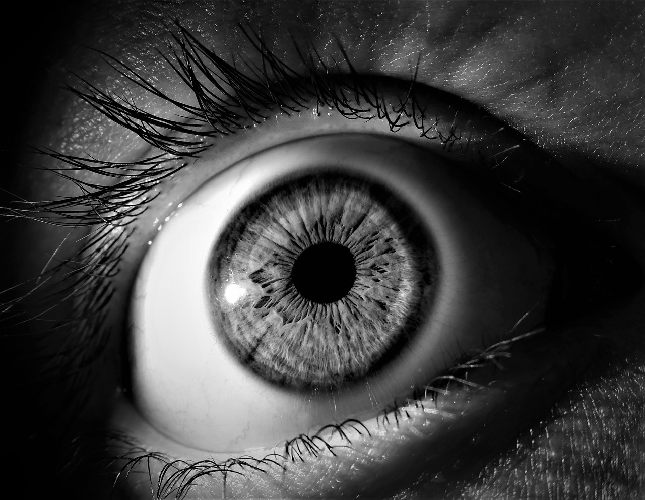 白内障により視界がどのように変化するか！見え方の変化について解説のまとめ