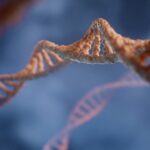 パーキンソン病は遺伝するのか？パーキンソン病と遺伝の関係性について解説