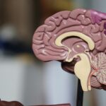 レビー小体型認知症に見られるパーキンソン症状について詳しく解説！